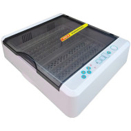 Инкубатор для яиц автоматический "SITITEK 36"