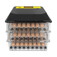 Автоматический инкубатор для яиц "SITITEK 196"